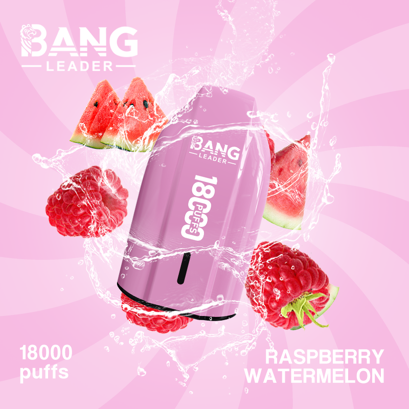 [Minimum order of two]Bang Leader 18K Puffs Prefilled Vape |  Rechargeable