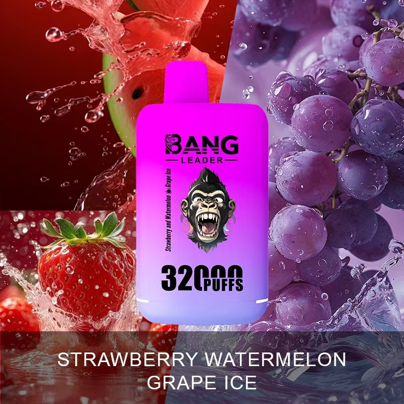 [Minimum order of two]Bang Leader 32K Puffs 2-in-1 Prefilled Vape | Dual Flavor,  Rechargeable