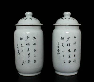 Tongzhi Signed Pair Chinese Famille Rose Lid Pot W/lion
