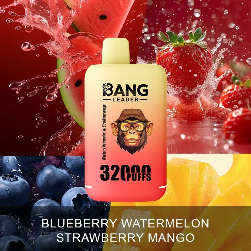 [Minimum order of two]Bang Leader 32K Puffs 2-in-1 Prefilled Vape | Dual Flavor,  Rechargeable