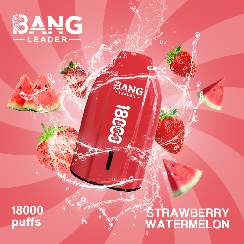 [Minimum order of two]Bang Leader 18K Puffs Prefilled Vape |  Rechargeable
