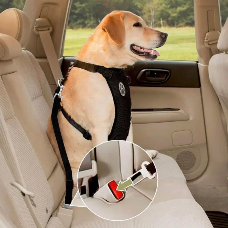 Straps Chest & Car Seat Belt
