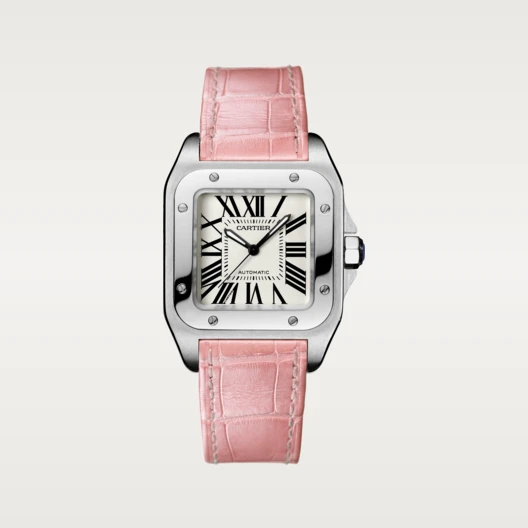 Cartier SANTOS