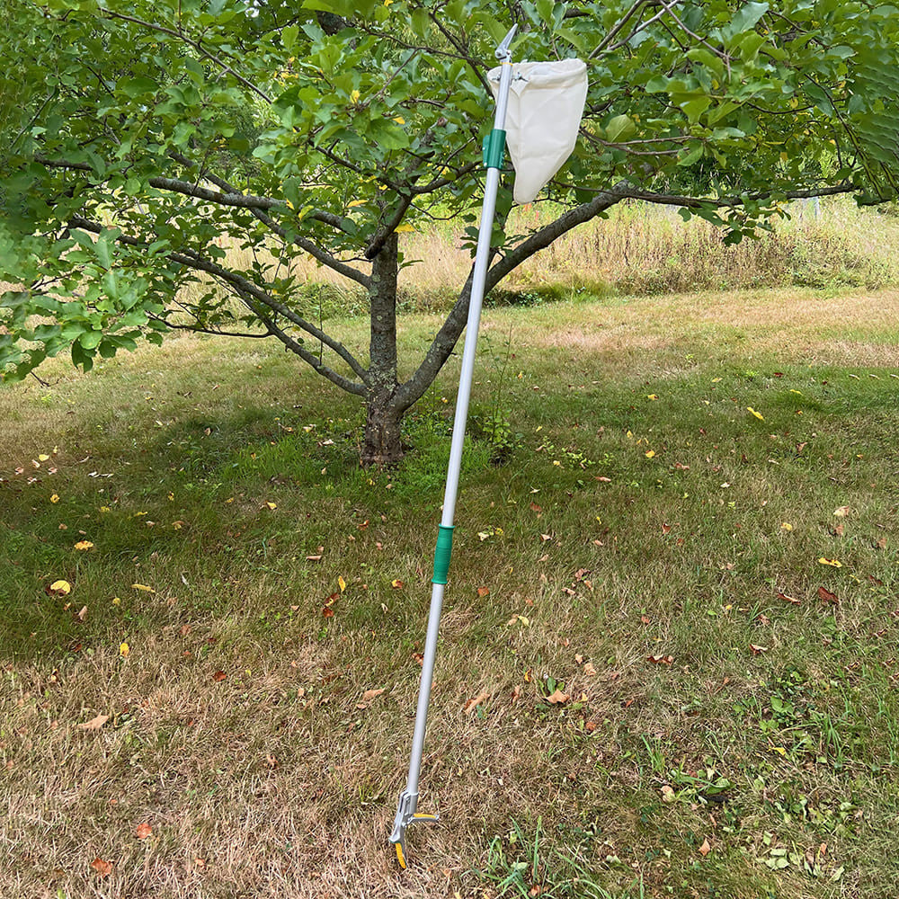 High-Reach Fruit Picking Basket