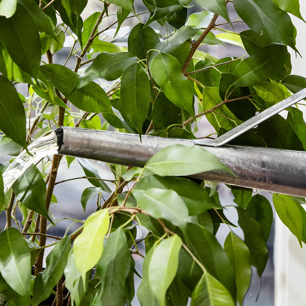 2-Gallon Oval Watering Can With Brass Rose
