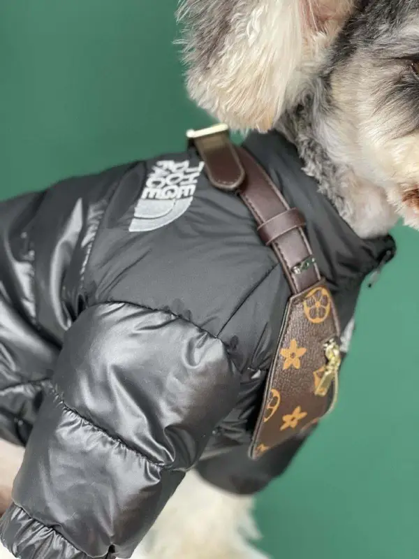 Pet Backpacks Supplies