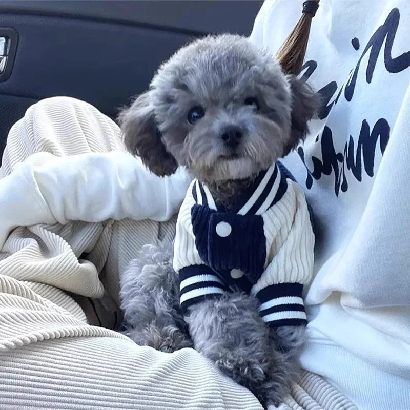 Winter Pet Clothes