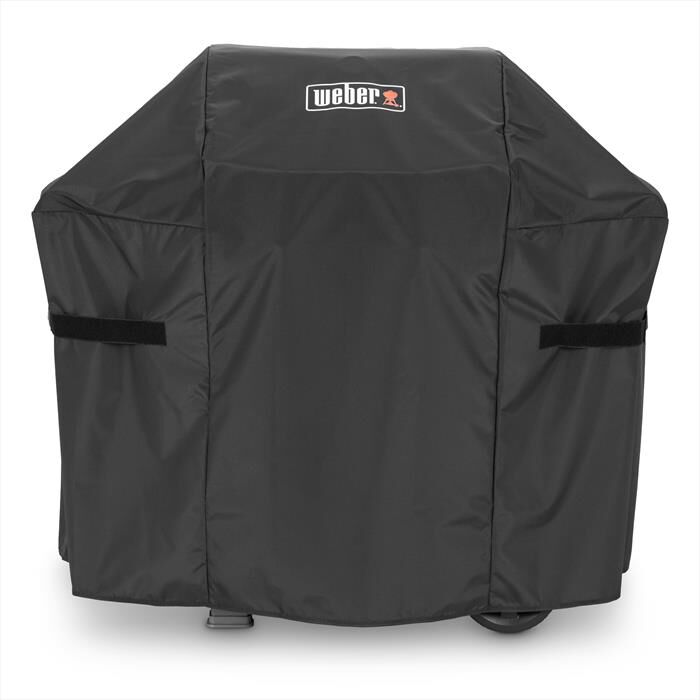Home & Kitchen > Kitchen & Dining > Outdoor Cooking > Barbecue & Grill Covers