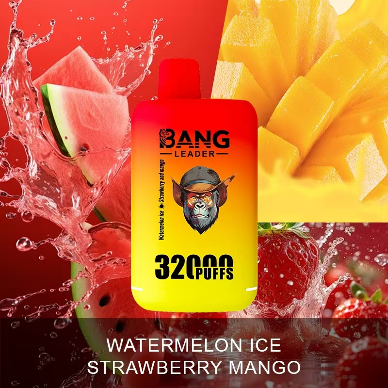 [Minimum order of two]Bang Leader 32K Puffs 2-in-1 Prefilled Vape | Dual Flavor,  Rechargeable