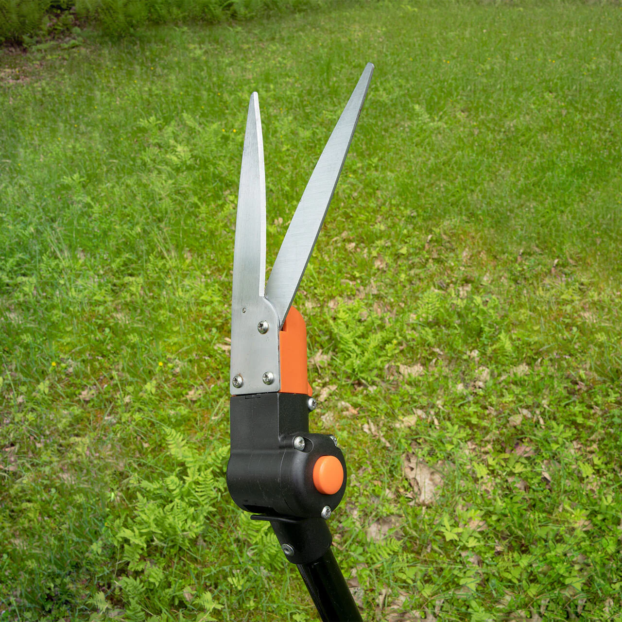 Three-Position Hedge Shear
