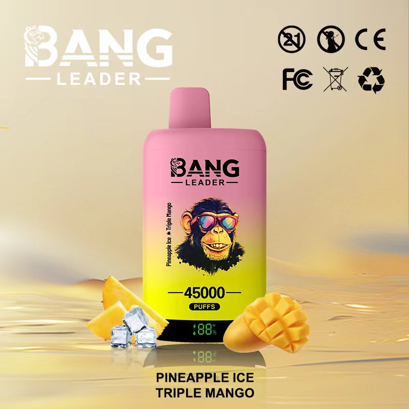 [Minimum order of two]Bang Leader 45K Puffs 2-in-1 Prefilled Vape | Dual Flavor,  Rechargeable