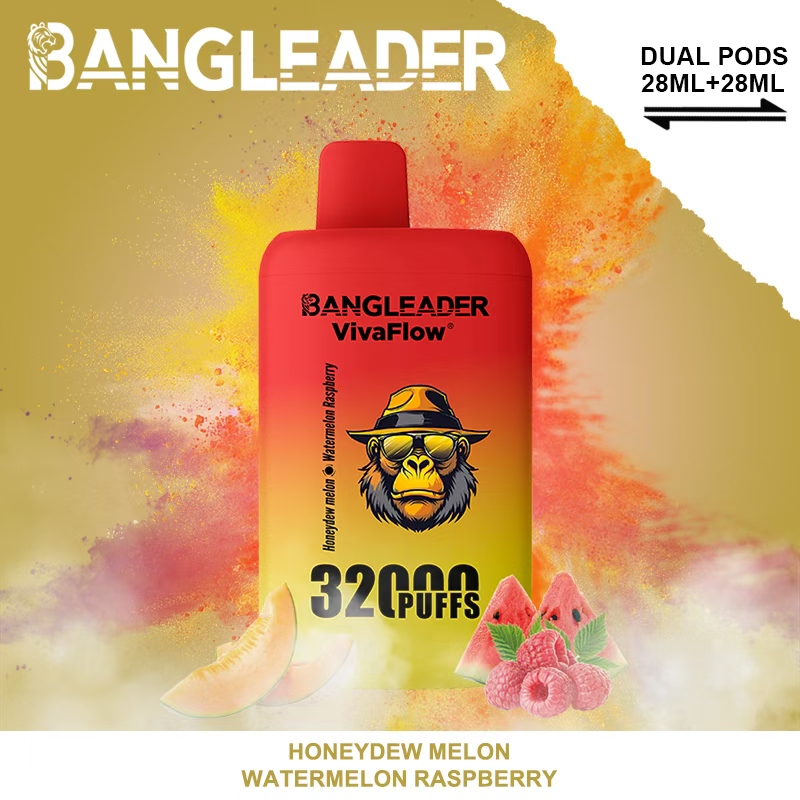 [Minimum order of two]Bang Leader 32K Puffs 2-in-1 Prefilled Vape | Dual Flavor,  Rechargeable