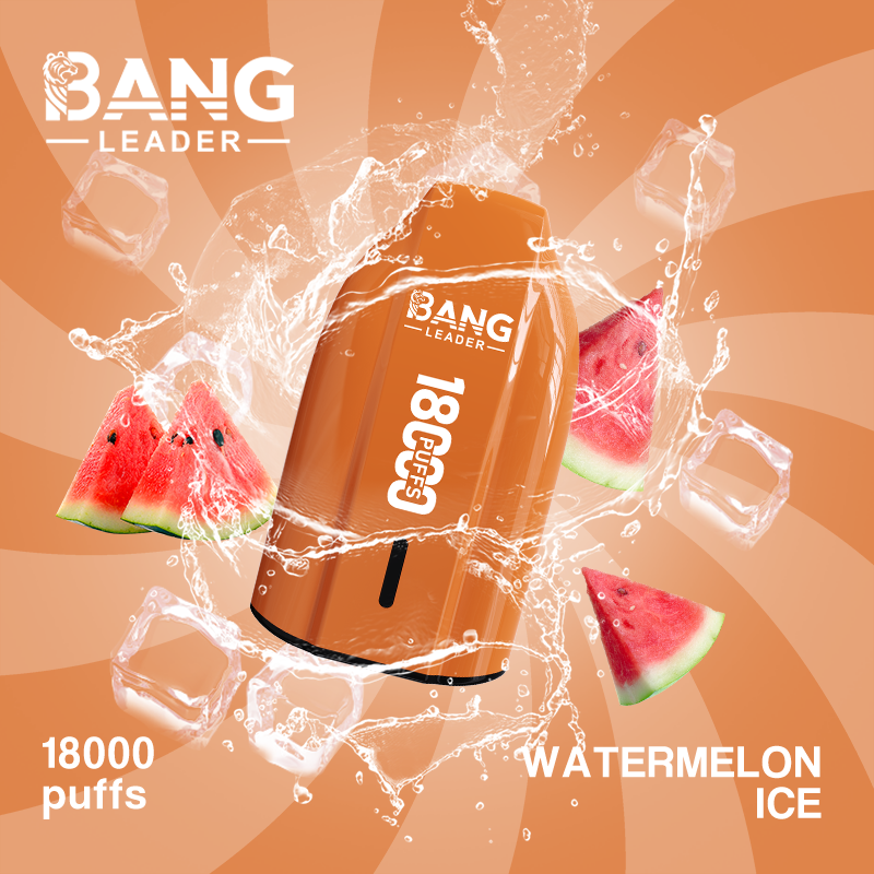 [Minimum order of two]Bang Leader 18K Puffs Prefilled Vape |  Rechargeable