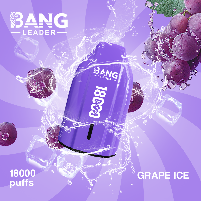 [Minimum order of two]Bang Leader 18K Puffs Prefilled Vape |  Rechargeable