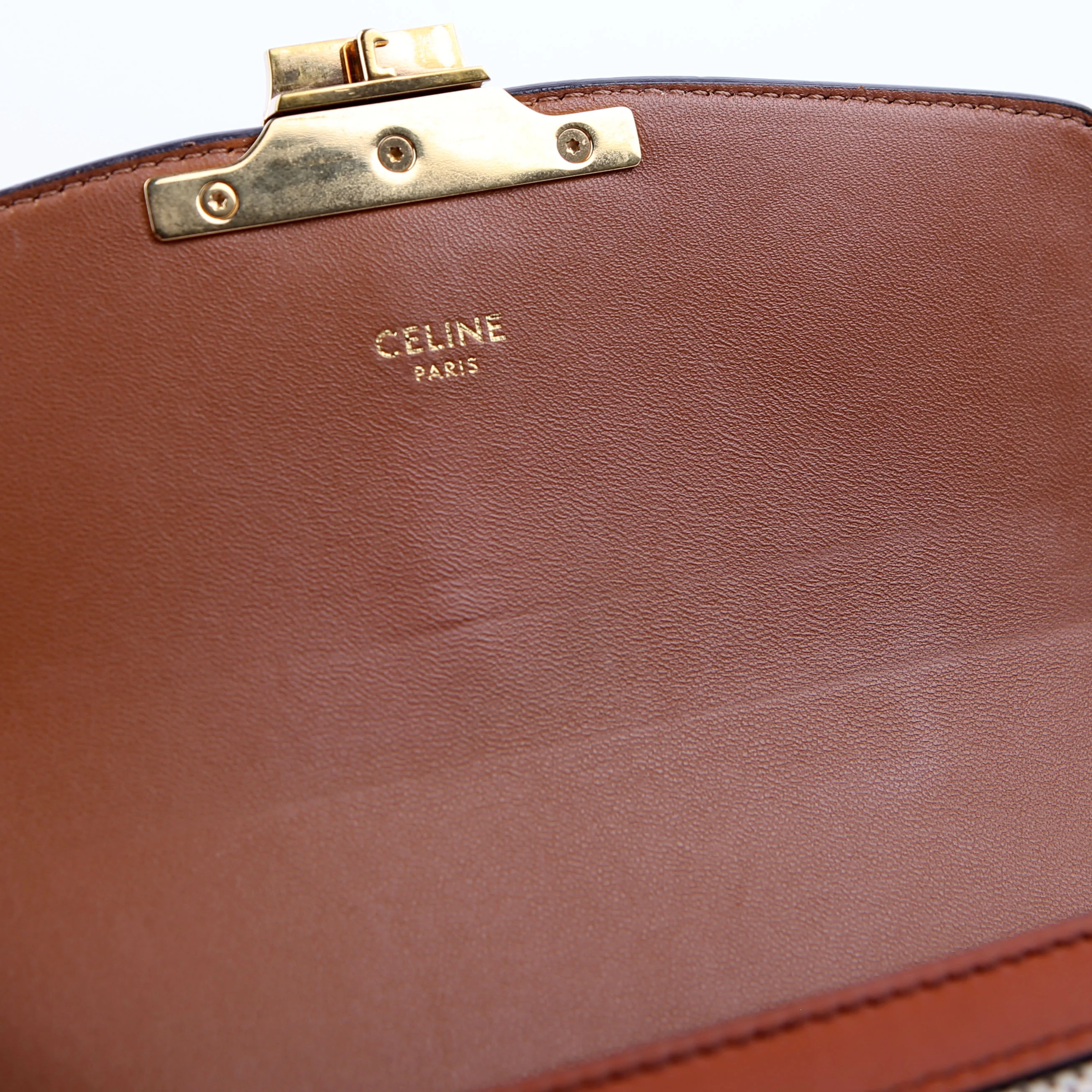 Teen Triomphe Bag Triomphe Canvas/Calfskin Brown