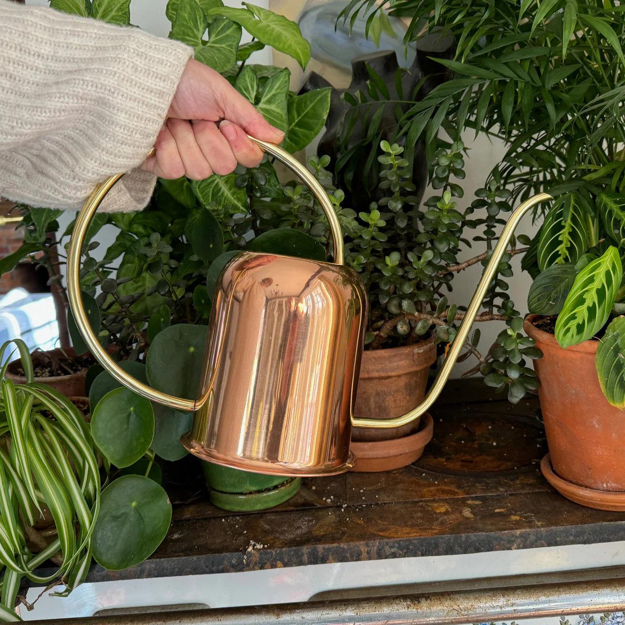 Copper & Brass Indoor Watering Can