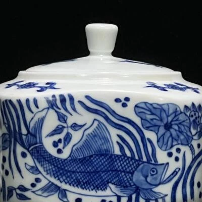 Ruoshen Signed Old Chinese Blue & White Porcelain Teapot w/ fish N38