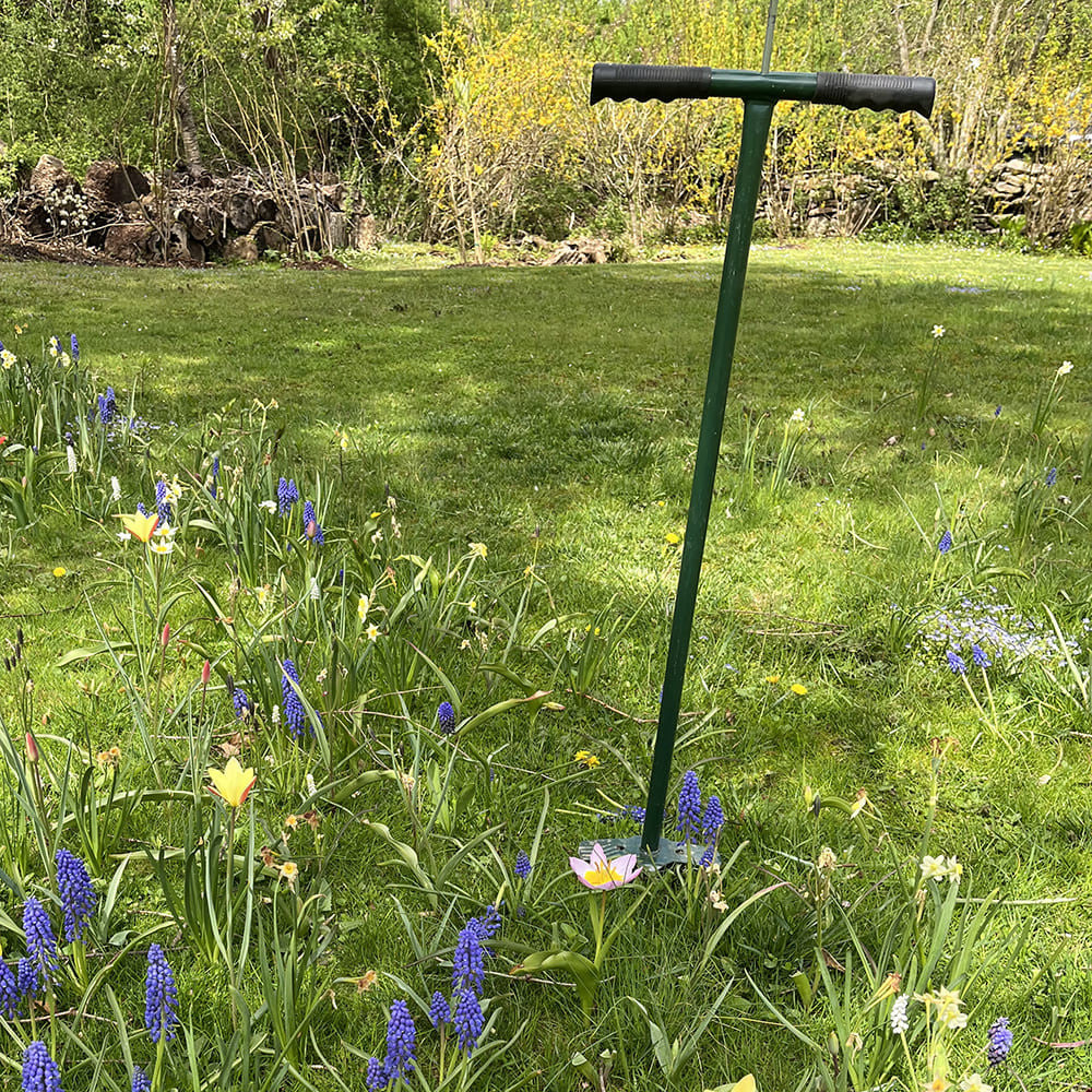 Stand-up Bulb Planter