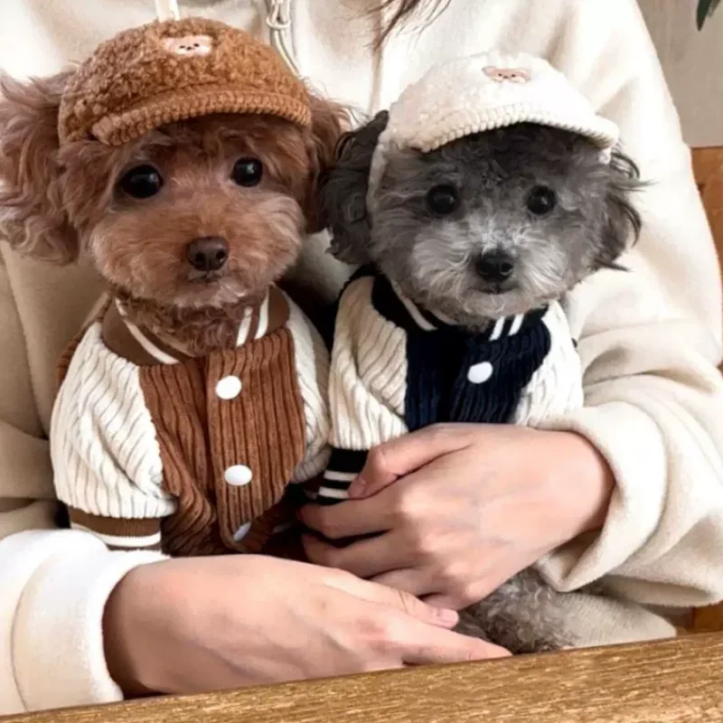 Winter Pet Clothes