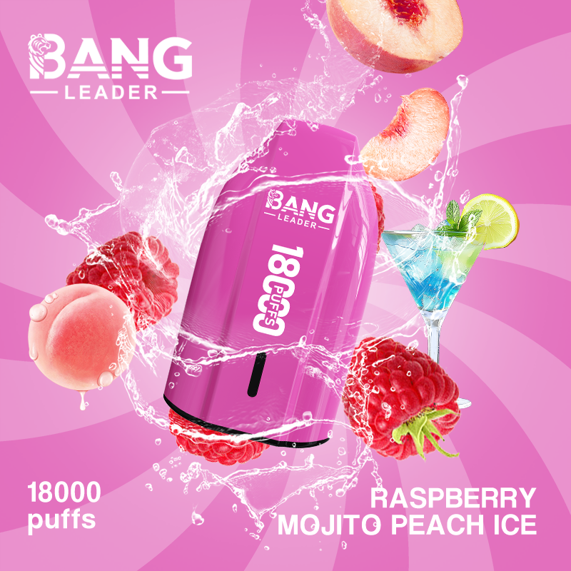 [Minimum order of two]Bang Leader 18K Puffs Prefilled Vape |  Rechargeable
