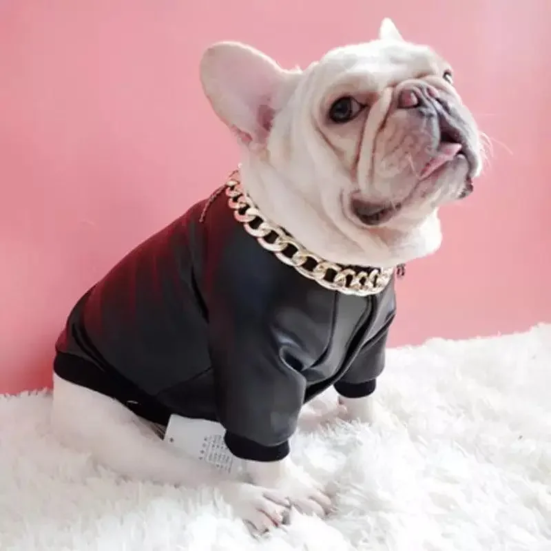 Motorcycle Pets Jacket