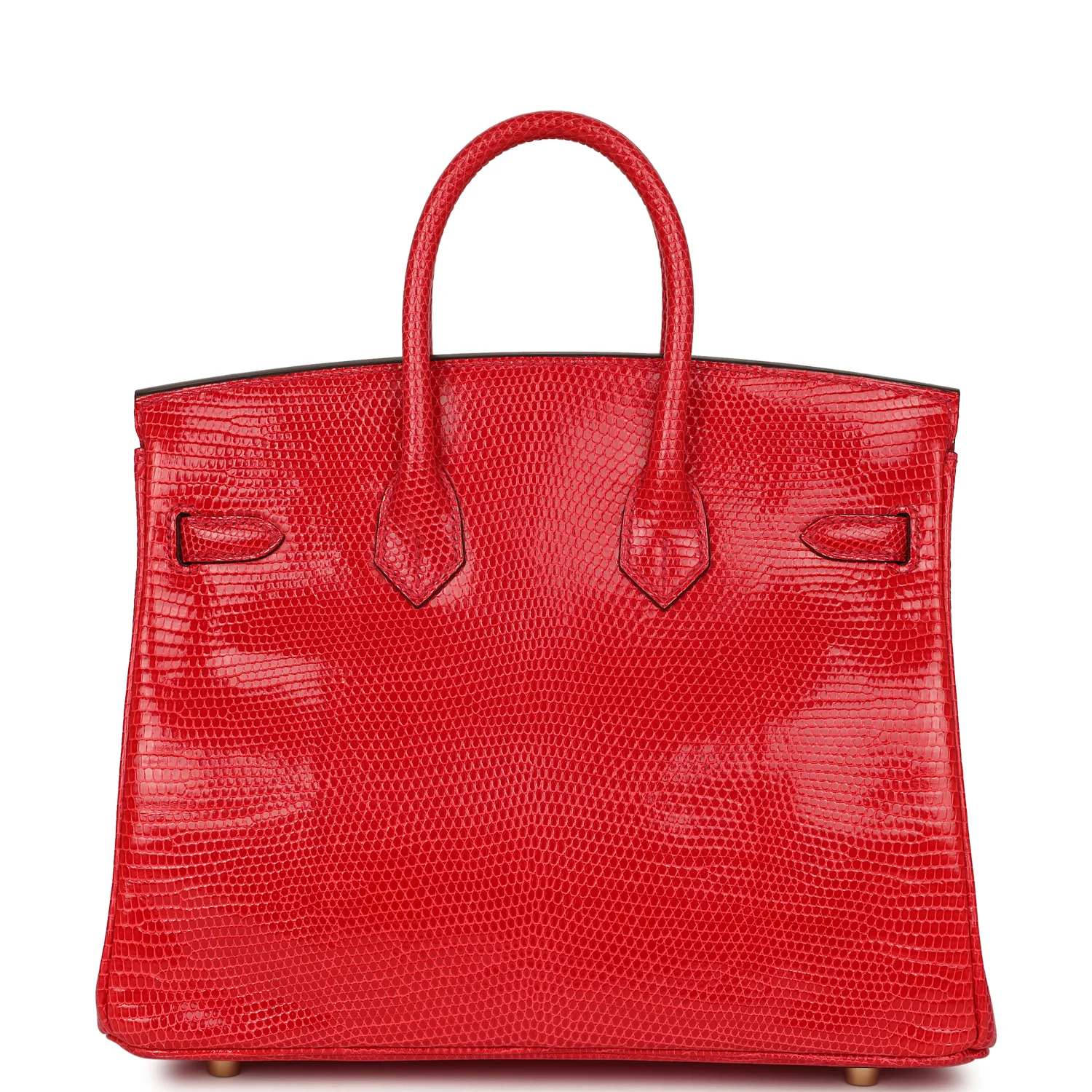 Hermes Birkin 25 Bougainvillea Shiny Varanus Niloticus Lizard Gold Hardware