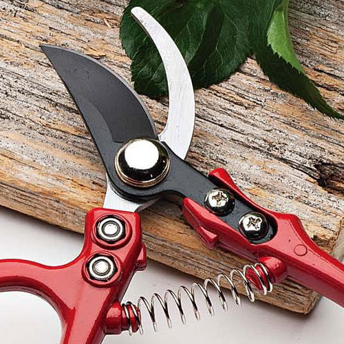 Small Bypass Pruners