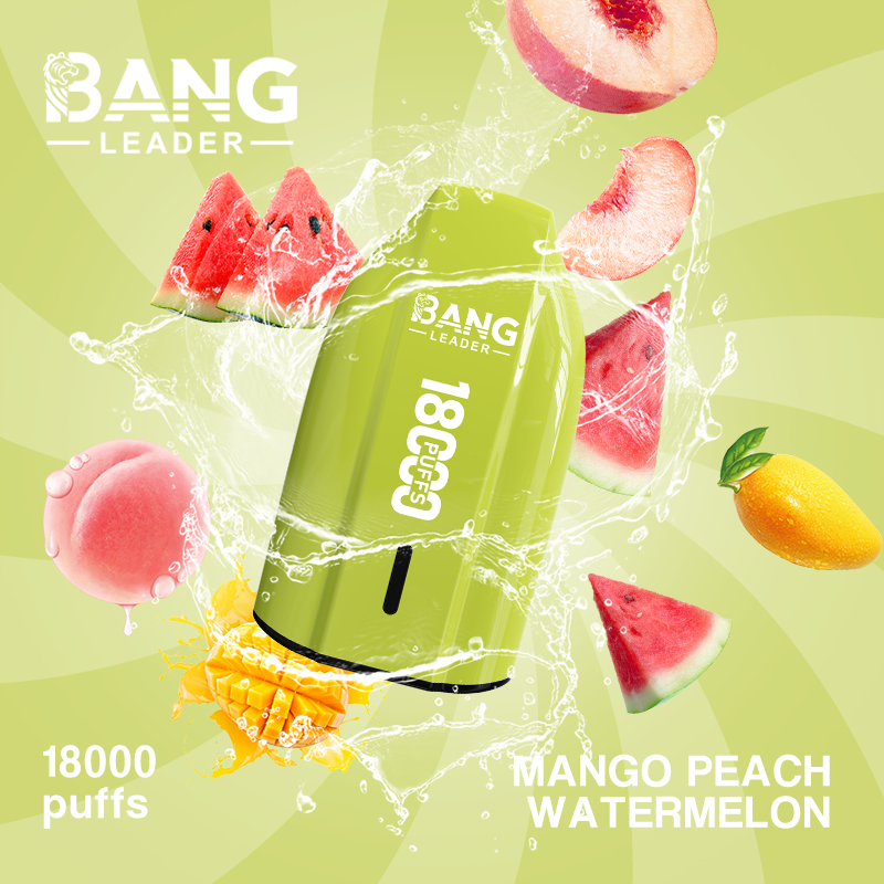 [Minimum order of two]Bang Leader 18K Puffs Prefilled Vape |  Rechargeable