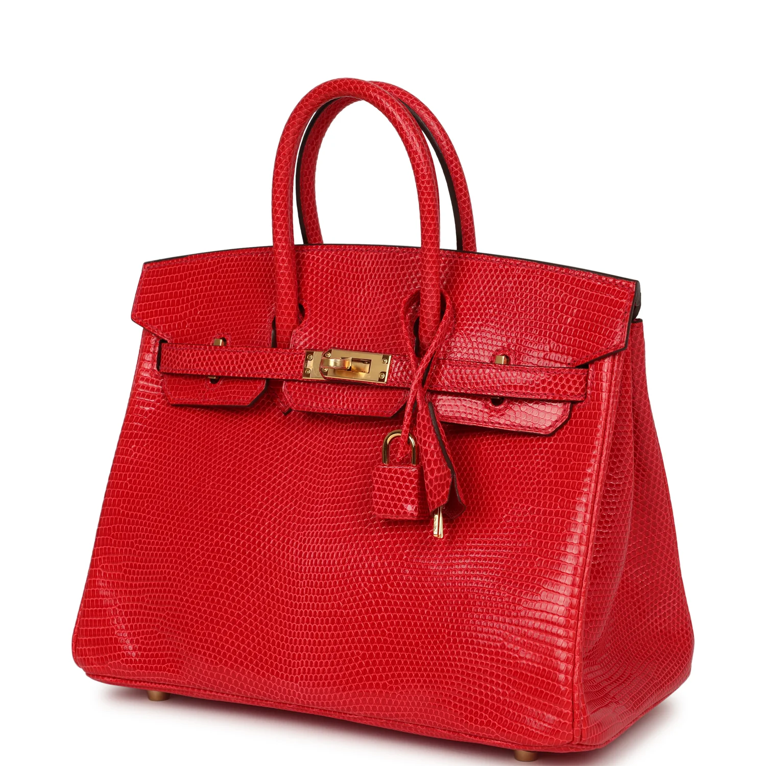Hermes Birkin 25 Bougainvillea Shiny Varanus Niloticus Lizard Gold Hardware