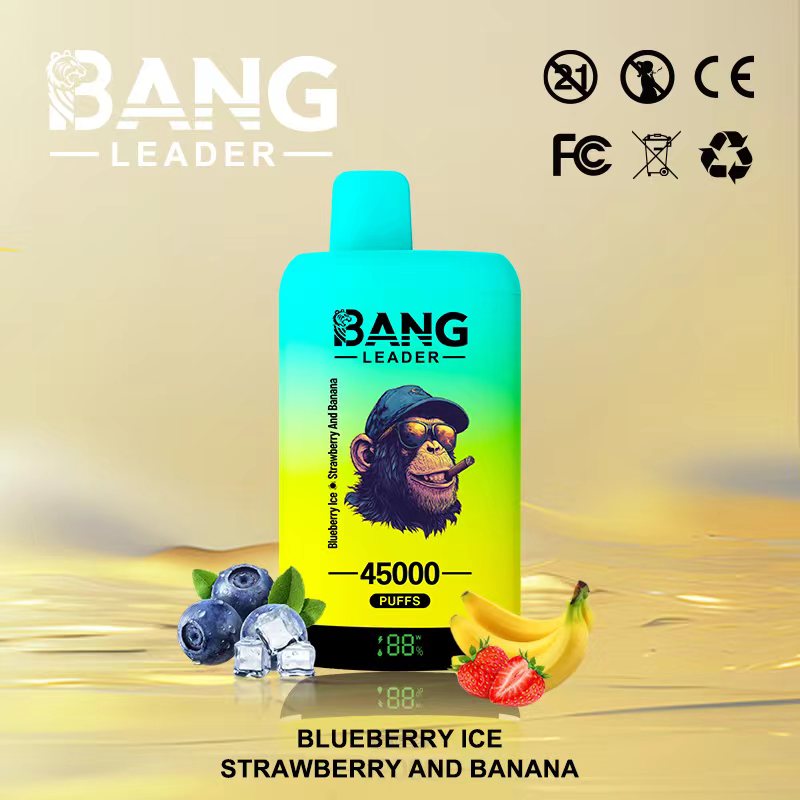 [Minimum order of two]Bang Leader 45K Puffs 2-in-1 Prefilled Vape | Dual Flavor,  Rechargeable