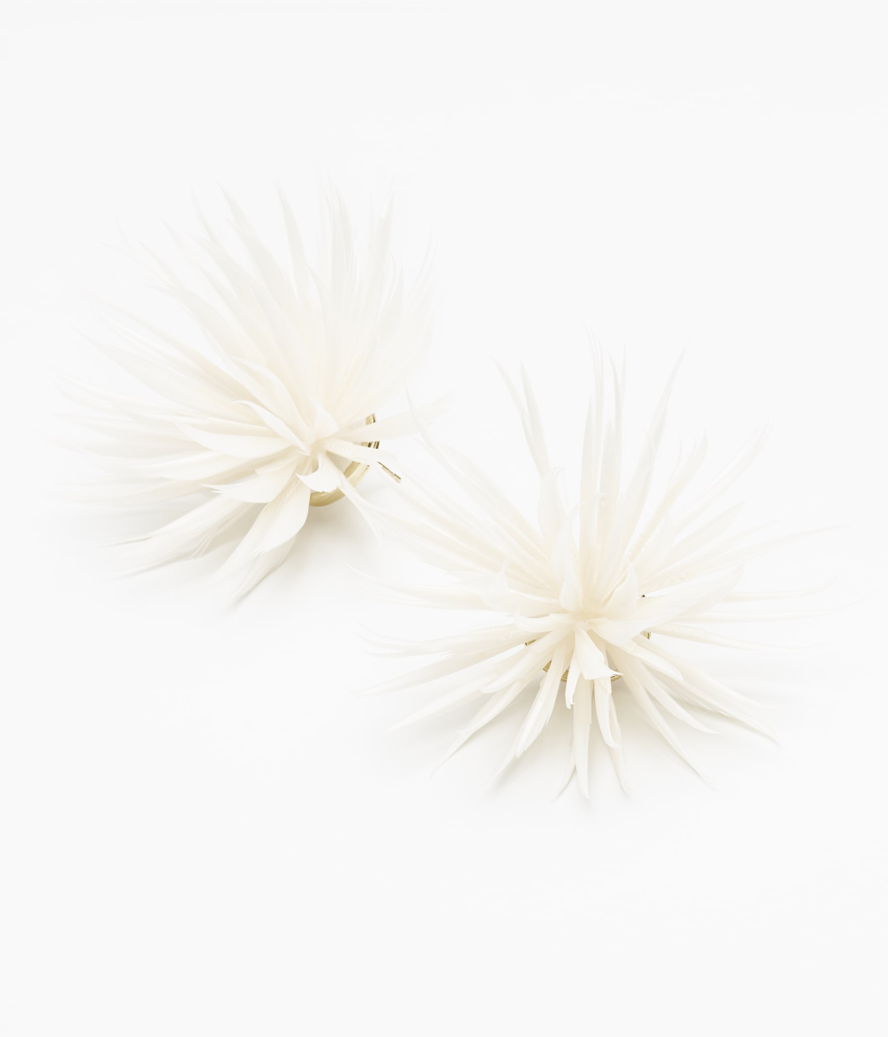 Stud Earrings