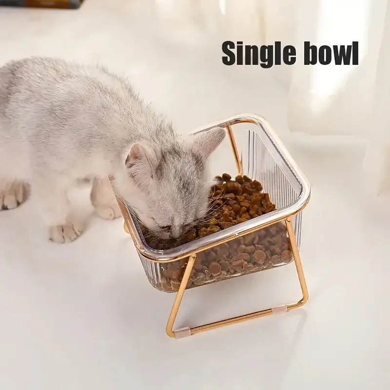 Transparent Double Pet's Bowl