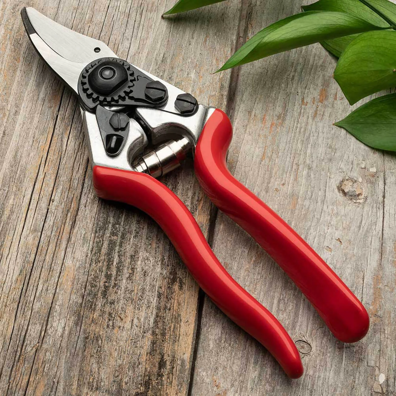Everyday Go-To Pruners