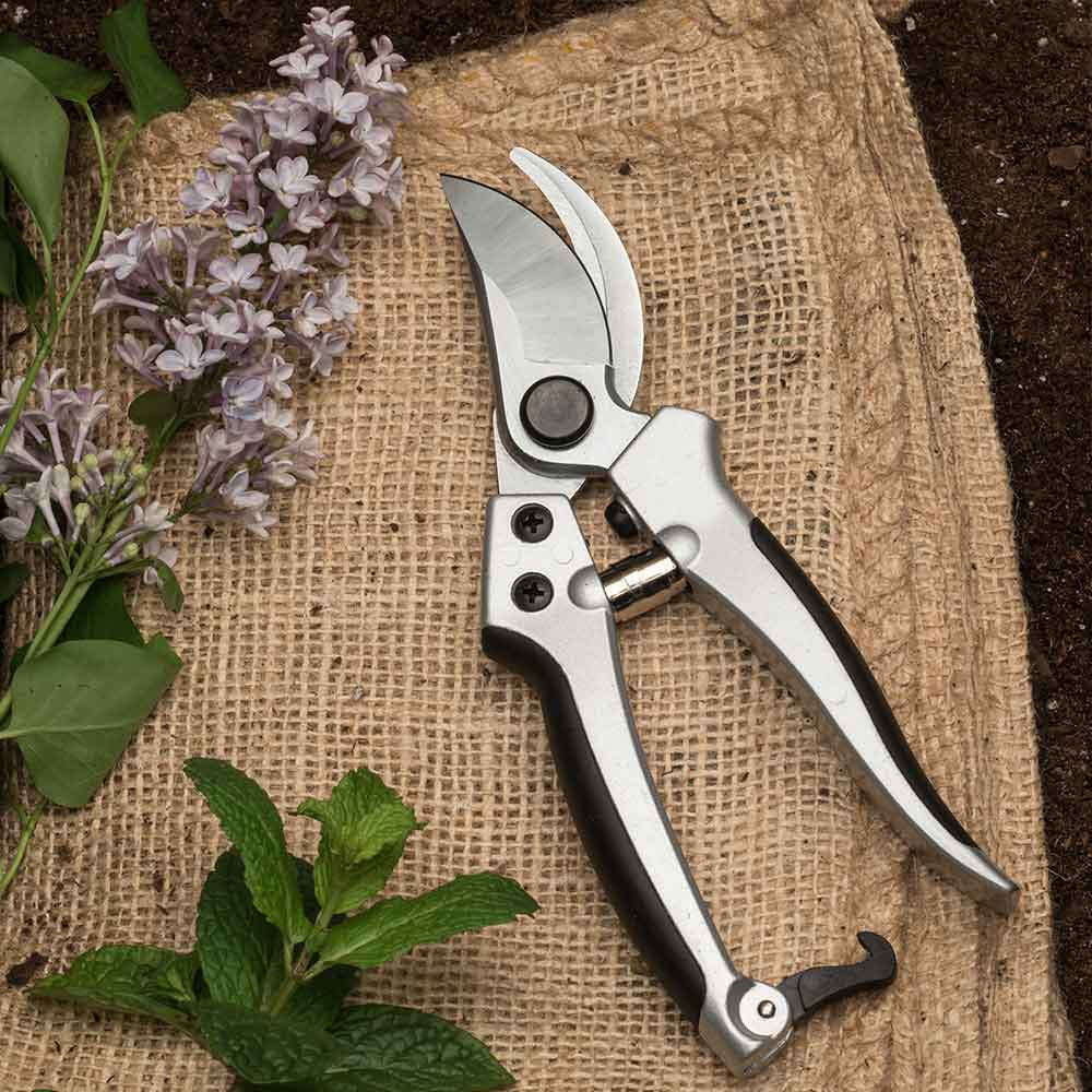 Pruning Tools