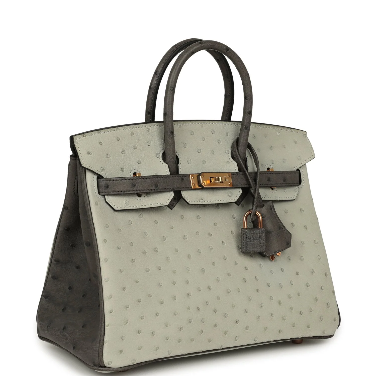 HERMÈS Special Order (HSS) Birkin 25 Gris Perle, Graphite Ostrich Rose Gold Hardware