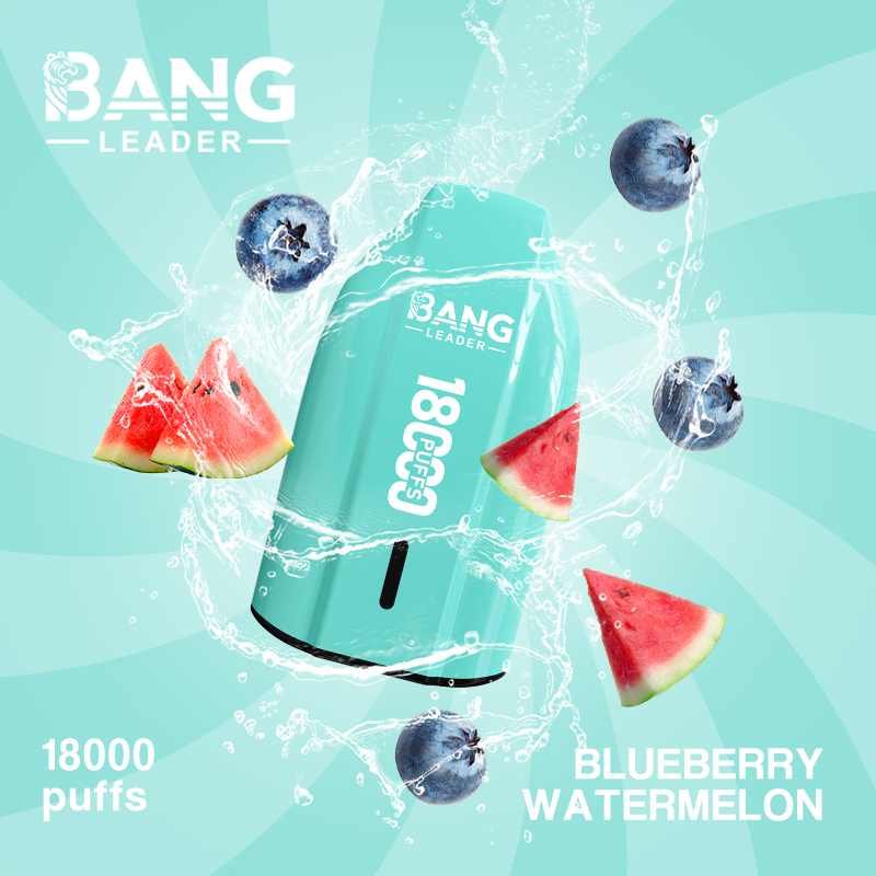 [Minimum order of two]Bang Leader 18K Puffs Prefilled Vape |  Rechargeable