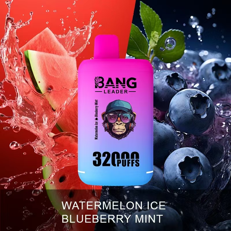 [Minimum order of two]Bang Leader 32K Puffs 2-in-1 Prefilled Vape | Dual Flavor,  Rechargeable