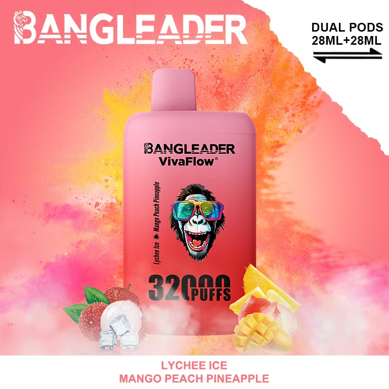 [Minimum order of two]Bang Leader 32K Puffs 2-in-1 Prefilled Vape | Dual Flavor,  Rechargeable