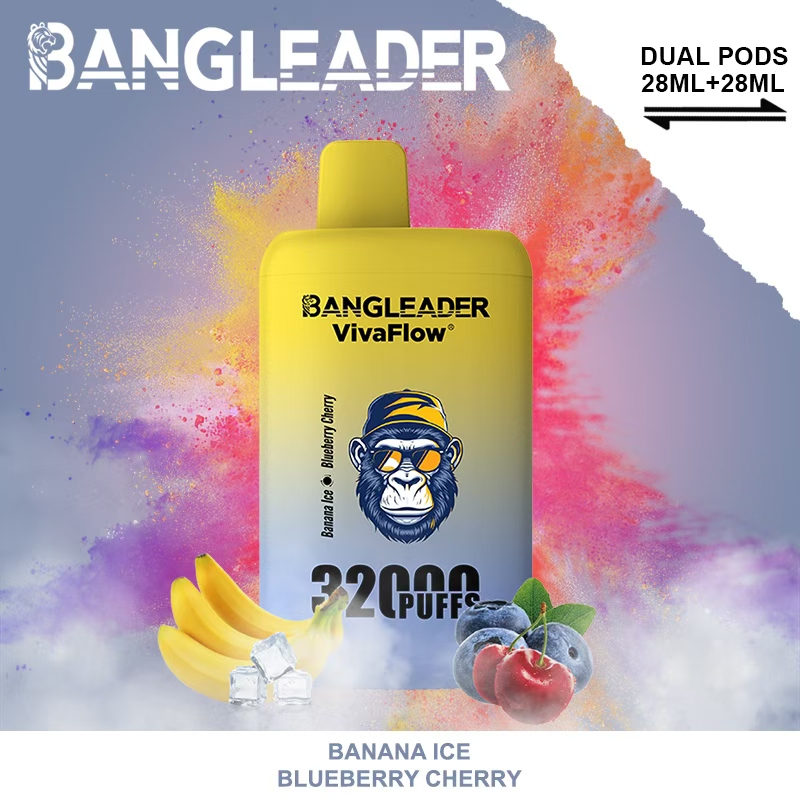 [Minimum order of two]Bang Leader 32K Puffs 2-in-1 Prefilled Vape | Dual Flavor,  Rechargeable