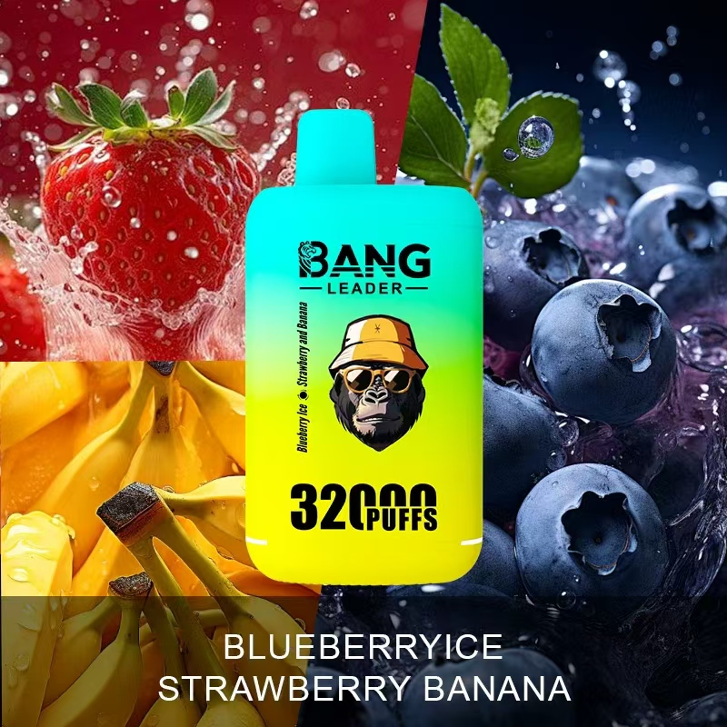[Minimum order of two]Bang Leader 32K Puffs 2-in-1 Prefilled Vape | Dual Flavor,  Rechargeable
