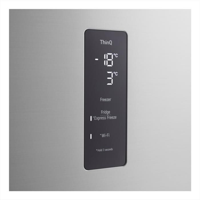 LG - GTFV61PYBQD-Argento