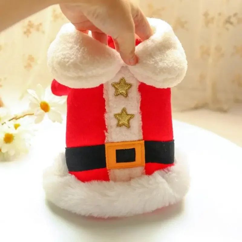 Christmas Pet Outfit