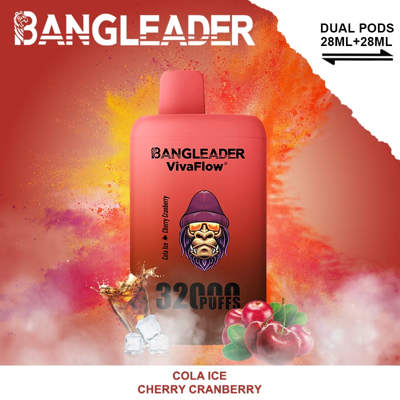 [Minimum order of two]Bang Leader 32K Puffs 2-in-1 Prefilled Vape | Dual Flavor,  Rechargeable