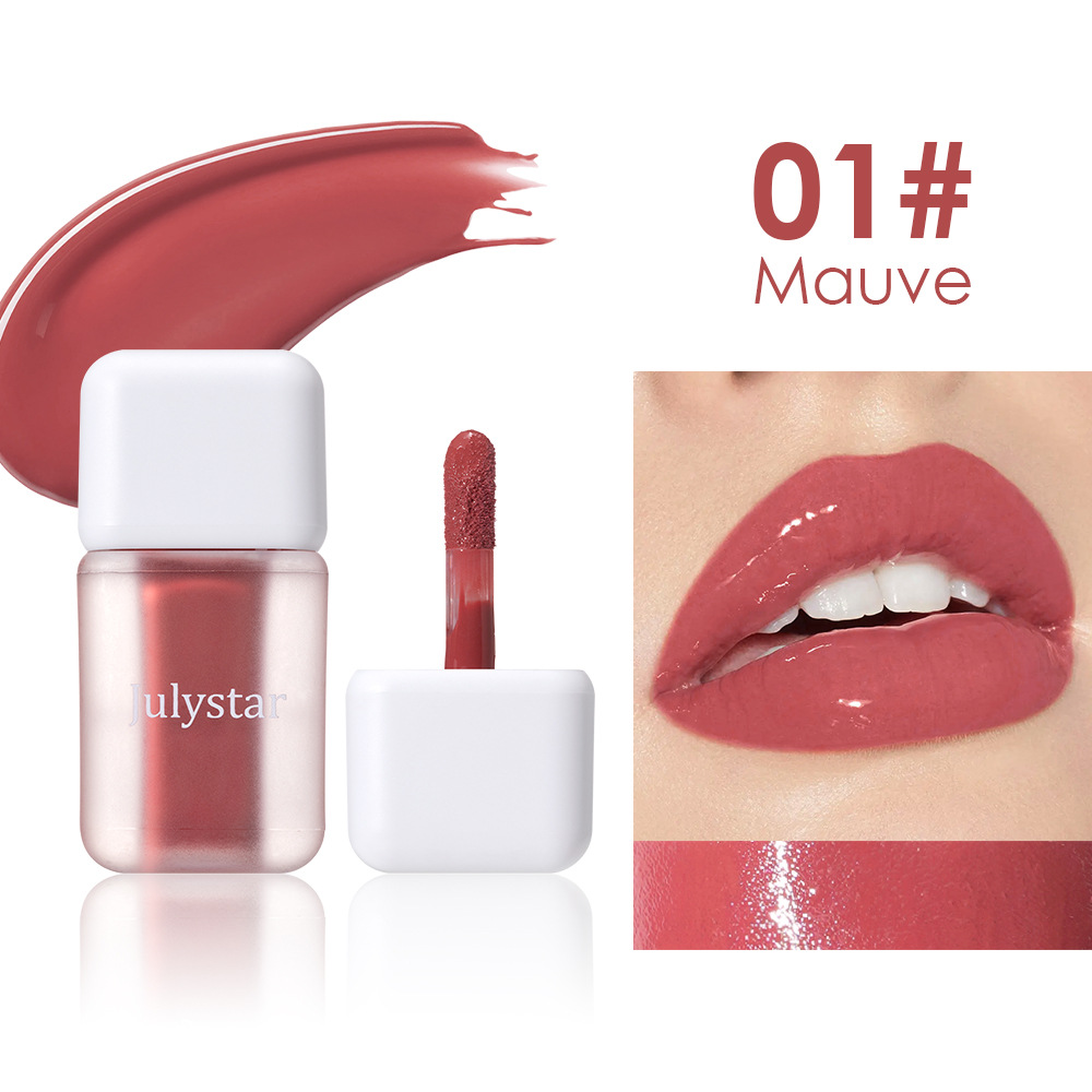 Shiny High Pigment Long Lasting Moisturizing Waterproof Liquid Lip Gloss Glossy Plumping Lip Oil Cruelty Free Lip Glaze Factory