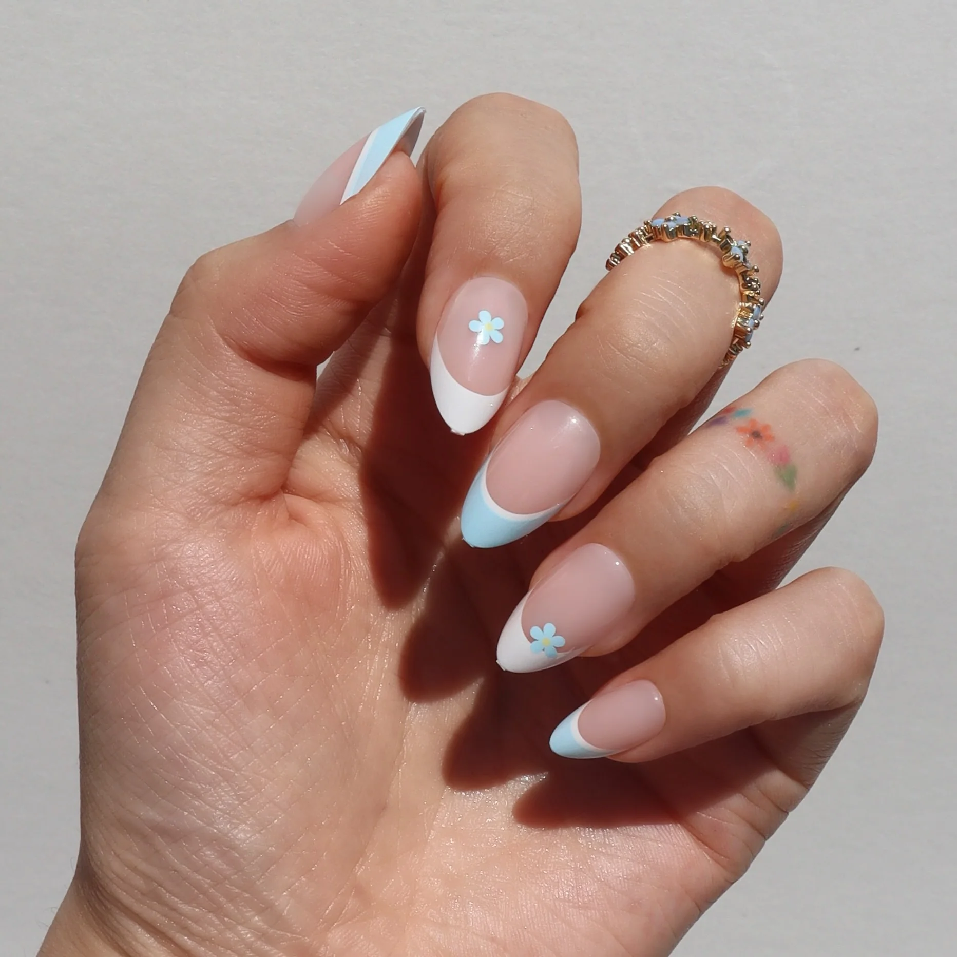 Forget Me Not