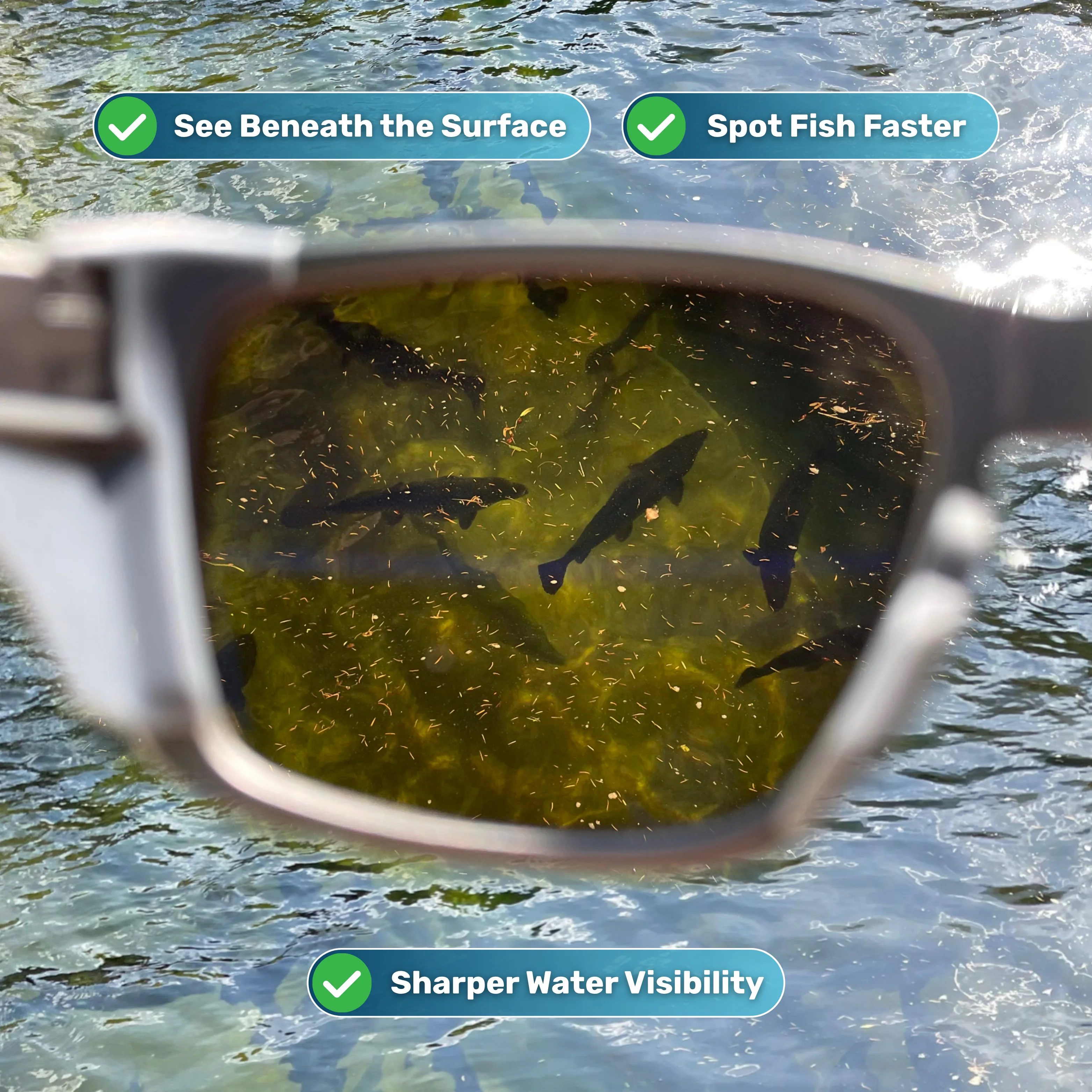 Fishing Glasses