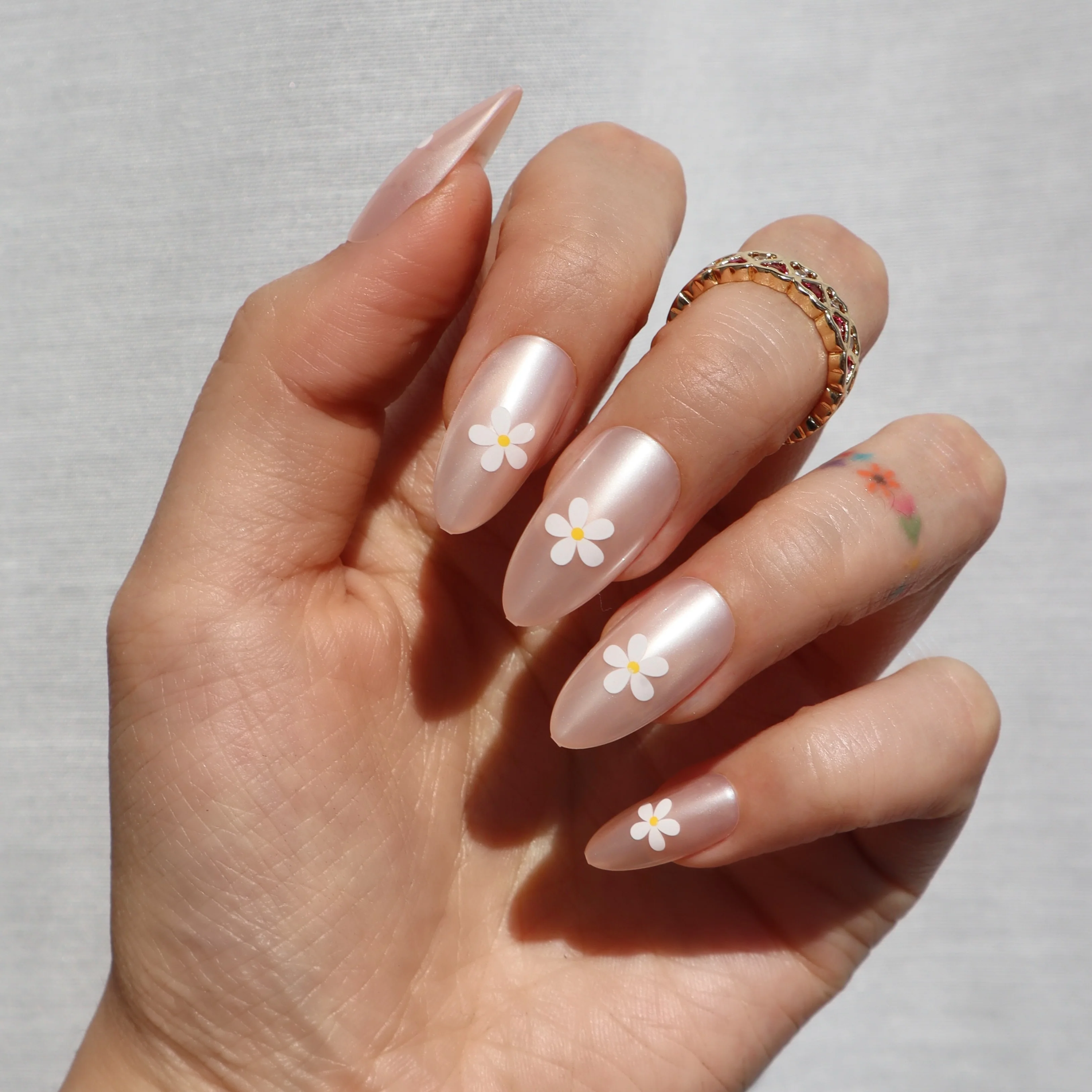 Daisy Glaze