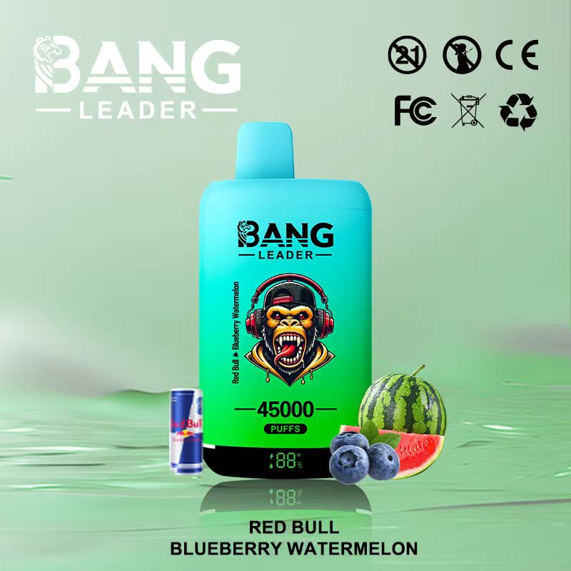 [Minimum order of two]Bang Leader 45K Puffs 2-in-1 Prefilled Vape | Dual Flavor,  Rechargeable