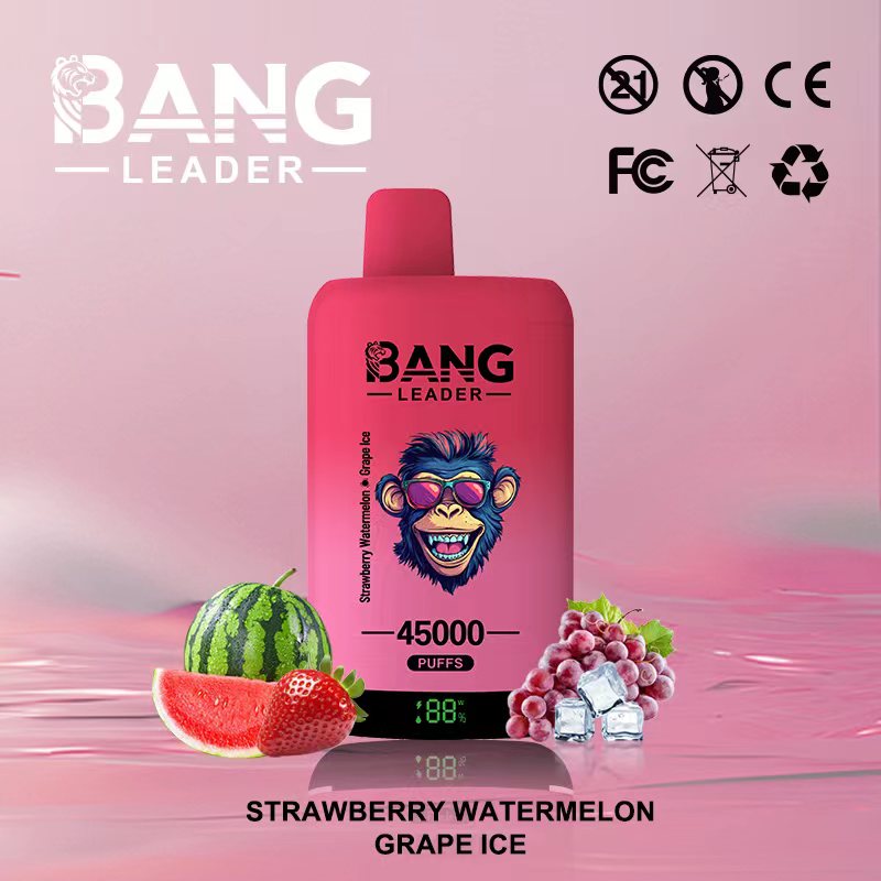 [Minimum order of two]Bang Leader 45K Puffs 2-in-1 Prefilled Vape | Dual Flavor,  Rechargeable