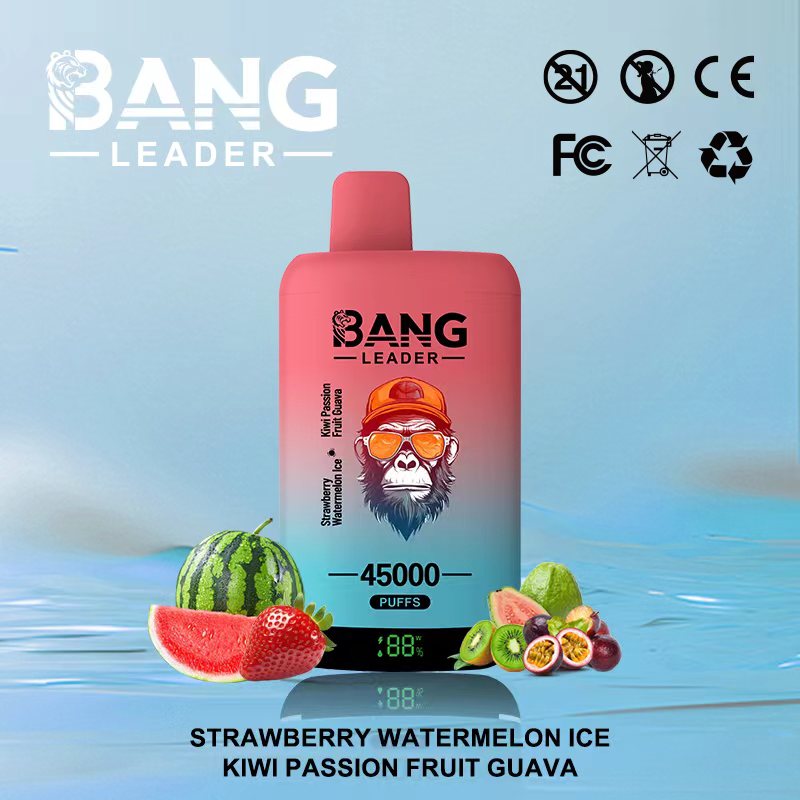 [Minimum order of two]Bang Leader 45K Puffs 2-in-1 Prefilled Vape | Dual Flavor,  Rechargeable